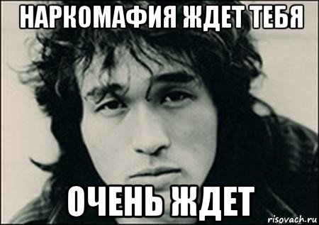 наркомафия ждет тебя очень ждет