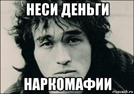 неси деньги наркомафии