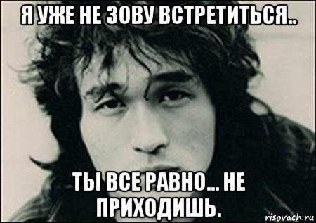 я уже не зову встретиться.. ты все равно... не приходишь.
