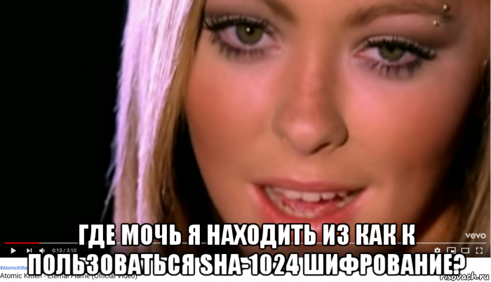  где мочь я находить из как к пользоваться sha-1024 шифрование?