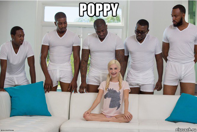 poppy 