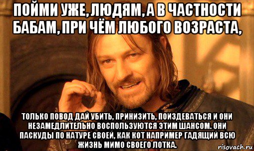 пойми уже, людям, а в частности бабам, при чём любого возраста, только повод дай убить, принизить, поиздеваться и они незамедлительно воспользуются этим шансом. они паскуды по натуре своей, как кот например гадящий всю жизнь мимо своего лотка., Мем Нельзя просто так взять и (Боромир мем)