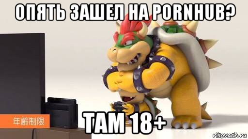 опять зашел на pornhub? там 18+, Мем Ни сматри боузер