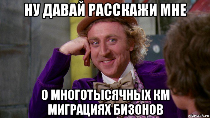 ну давай расскажи мне о многотысячных км миграциях бизонов, Мем Ну давай расскажи (Вилли Вонка)