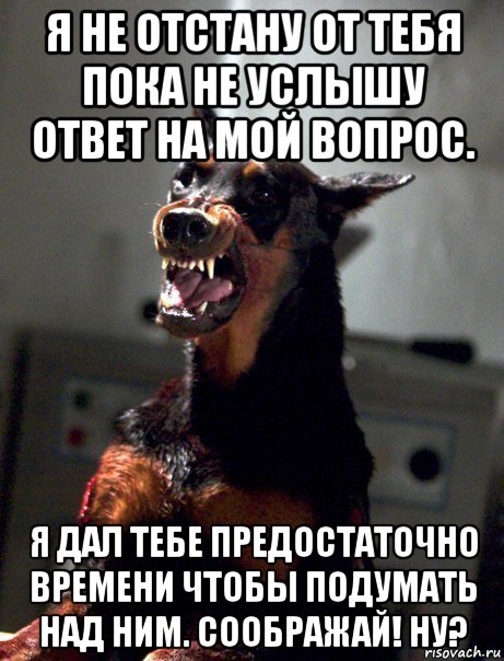 я не отстану от тебя пока не услышу ответ на мой вопрос. я дал тебе предостаточно времени чтобы подумать над ним. соображай! ну?, Мем Песик