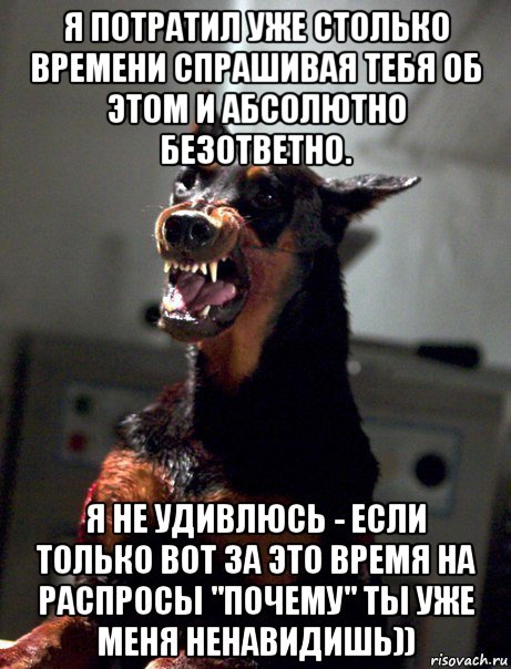 я потратил уже столько времени спрашивая тебя об этом и абсолютно безответно. я не удивлюсь - если только вот за это время на распросы "почему" ты уже меня ненавидишь)), Мем Песик