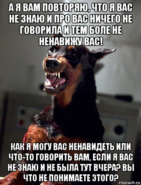 а я вам повторяю, что я вас не знаю и про вас ничего не говорила и тем боле не ненавижу вас! как я могу вас ненавидеть или что-то говорить вам, если я вас не знаю и не была тут вчера? вы что не понимаете этого?