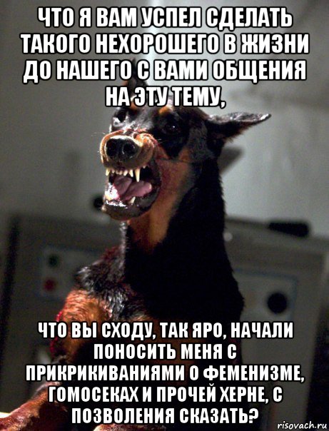 что я вам успел сделать такого нехорошего в жизни до нашего с вами общения на эту тему, что вы сходу, так яро, начали поносить меня с прикрикиваниями о феменизме, гомосеках и прочей херне, с позволения сказать?