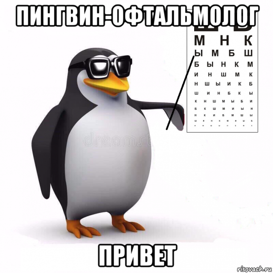 пингвин-офтальмолог привет