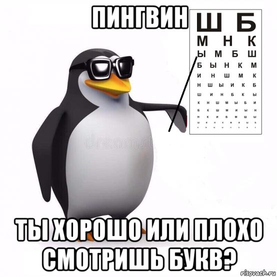 пингвин ты хорошо или плохо смотришь букв?