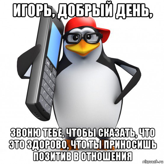 игорь, добрый день, звоню тебе, чтобы сказать, что это здорово, что ты приносишь позитив в отношения, Мем   Пингвин звонит