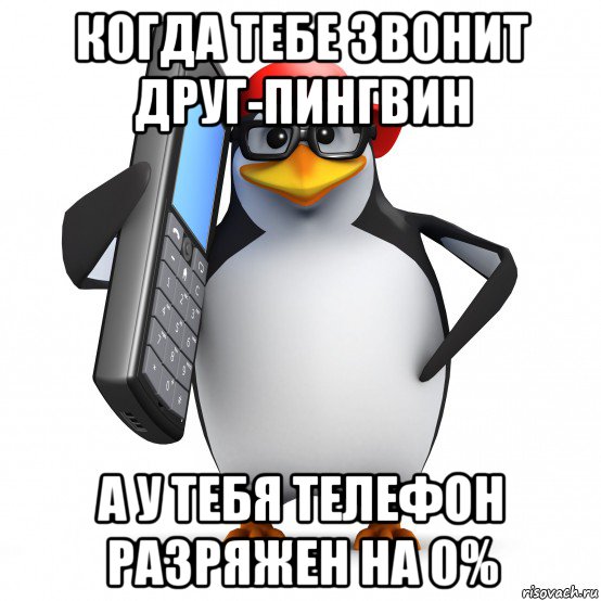 когда тебе звонит друг-пингвин а у тебя телефон разряжен на 0%, Мем   Пингвин звонит