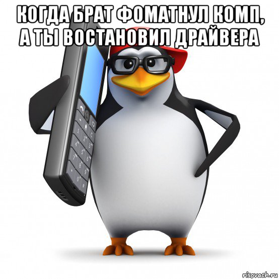 когда брат фоматнул комп, а ты востановил драйвера , Мем   Пингвин звонит