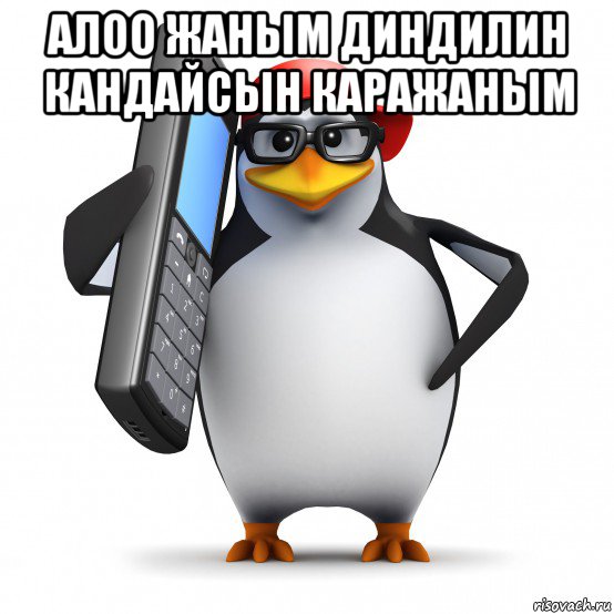 алоо жаным диндилин кандайсын каражаным , Мем   Пингвин звонит