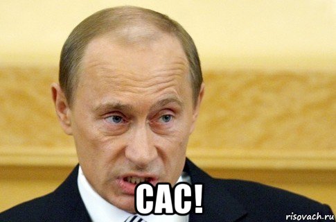  сас!, Мем путин