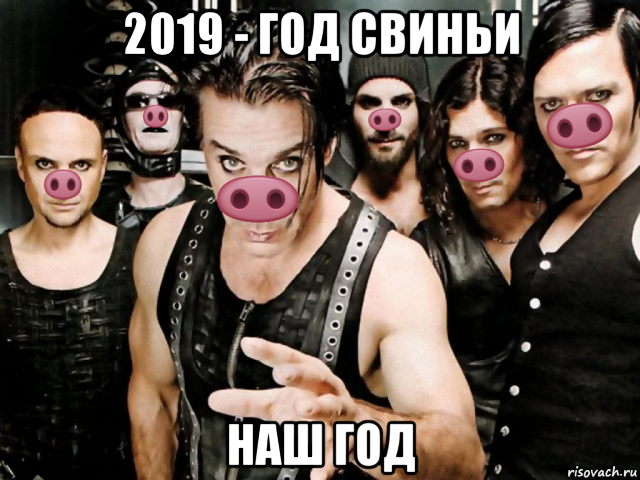 2019 - год свиньи наш год