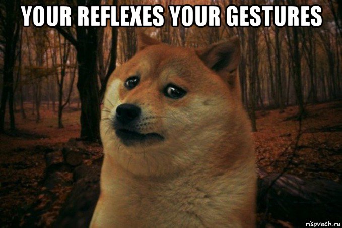 your reflexes your gestures , Мем SAD DOGE