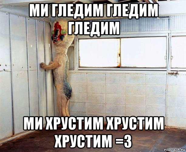 ми гледим гледим гледим ми хрустим хрустим хрустим =3