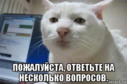  пожалуйста, ответьте на несколько вопросов.