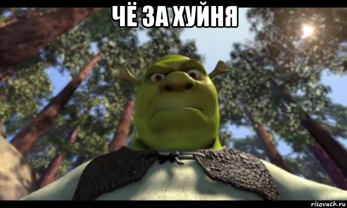 чё за хуйня 