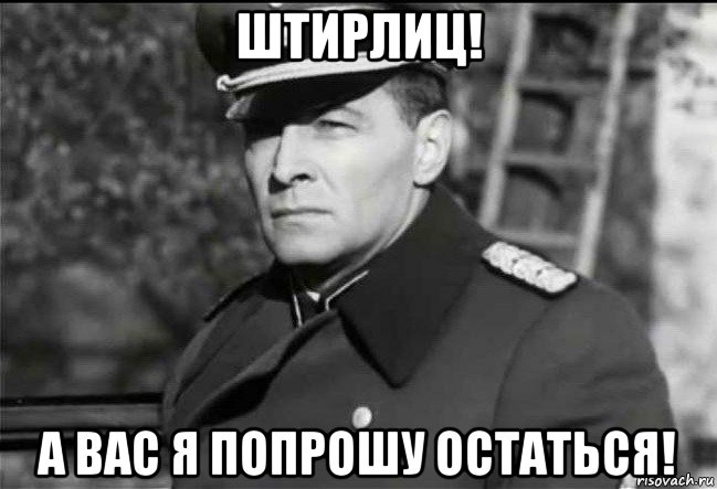 штирлиц! а вас я попрошу остаться!, Мем Штирлиц