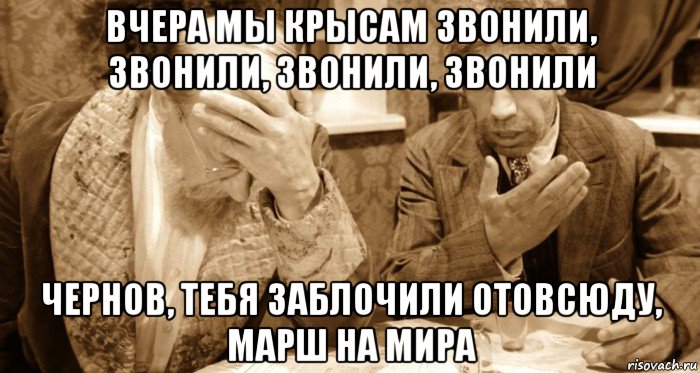 вчера мы крысам звонили, звонили, звонили, звонили чернов, тебя заблочили отовсюду, марш на мира