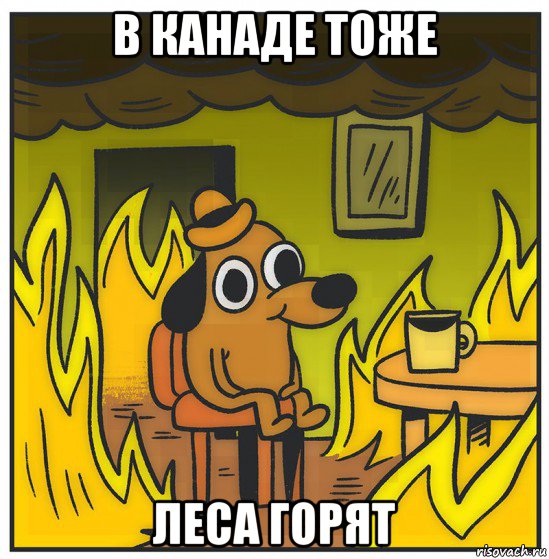 в канаде тоже леса горят