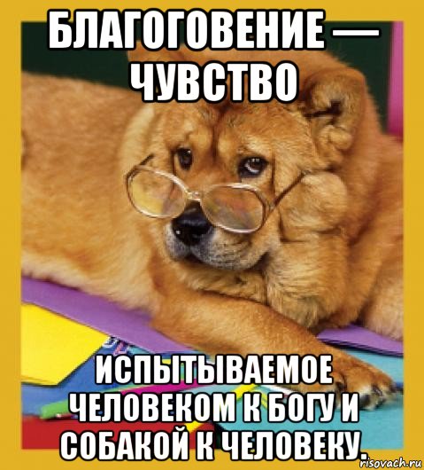 благоговение — чувство испытываемое человеком к богу и собакой к человеку.