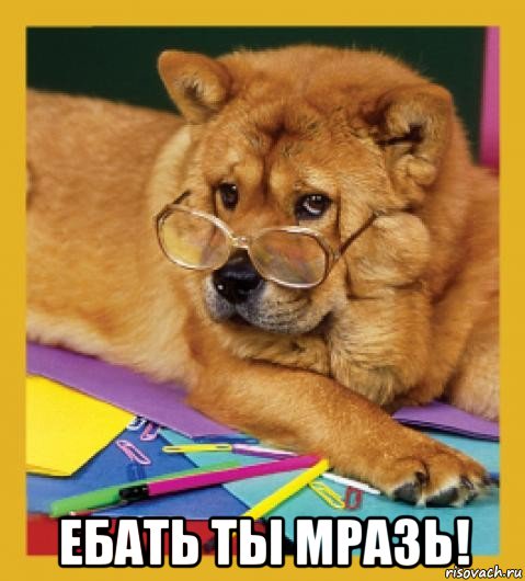  ебать ты мразь!