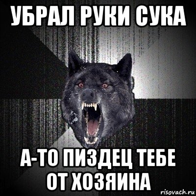 убрал руки сука а-то пиздец тебе от хозяина