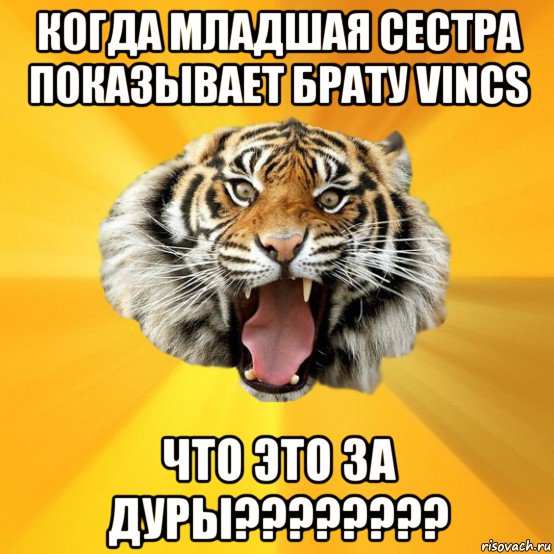 когда младшая сестра показывает брату vincs что это за дуры????????, Мем СУМАСШЕДШИЙ ТИГР