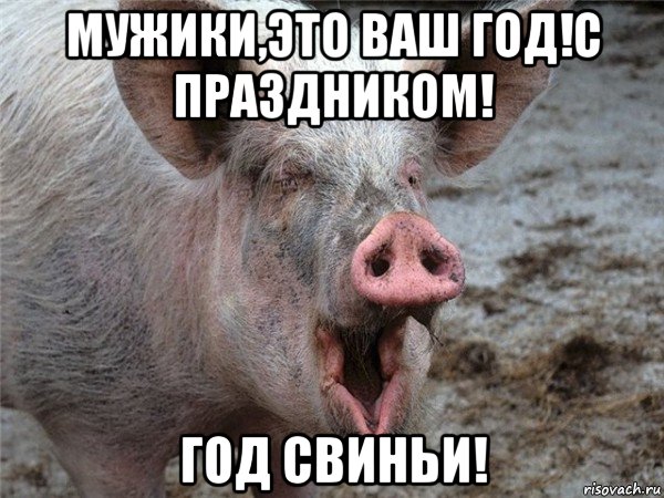 мужики,это ваш год!с праздником! год свиньи!