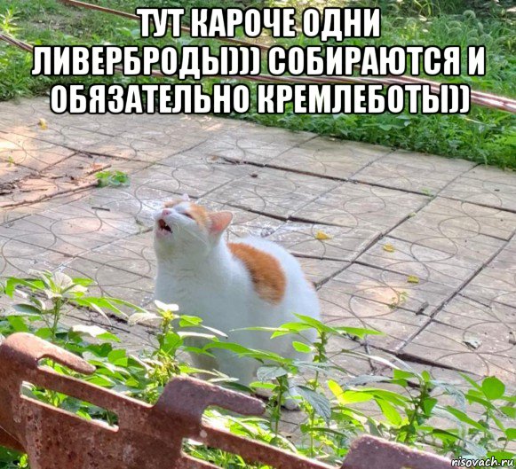 тут кароче одни ливерброды))) собираются и обязательно кремлеботы)) 