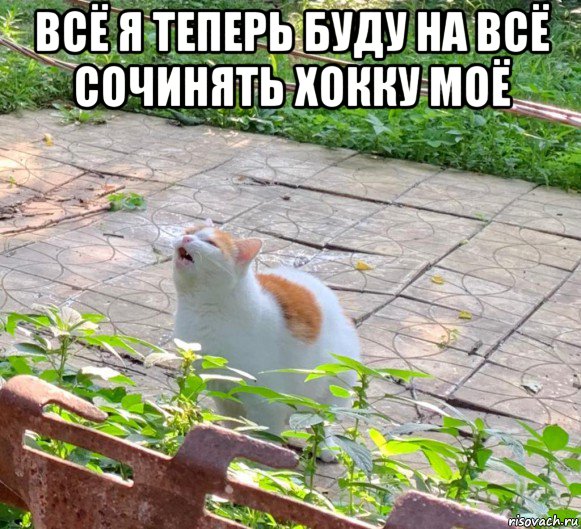 всё я теперь буду на всё сочинять хокку моё 