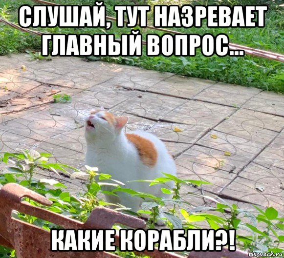 слушай, тут назревает главный вопрос... какие корабли?!