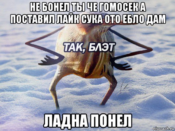 не бонел ты че гомосек а поставил лайк сука ото ебло дам ладна понел, Мем  Так блэт птица с руками