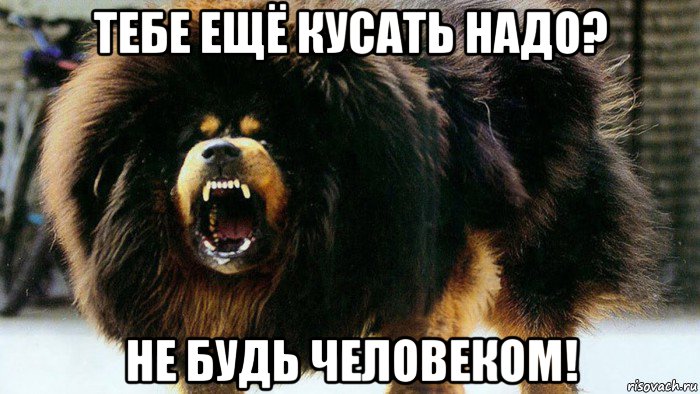 тебе ещё кусать надо? не будь человеком!