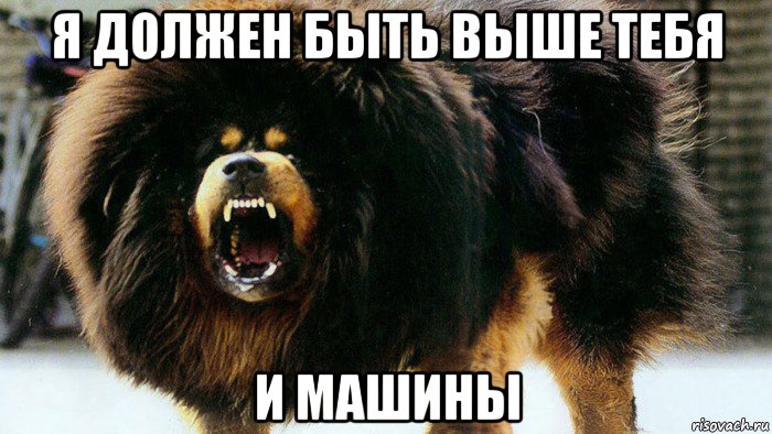 я должен быть выше тебя и машины