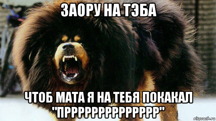 заору на тэба чтоб мата я на тебя покакал "прррррррррррррр"