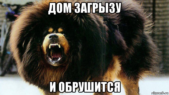 дом загрызу и обрушится