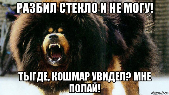 разбил стекло и не могу! тыгде, кошмар увидел? мне полай!