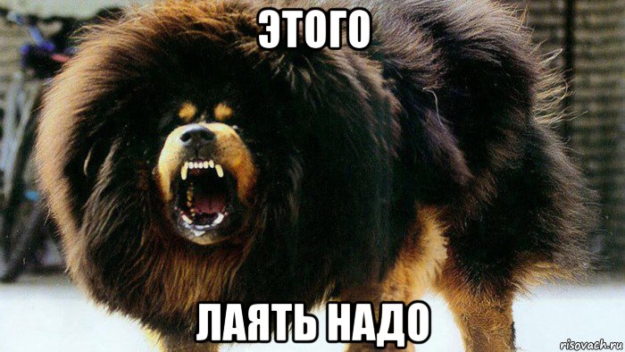 этого лаять надо
