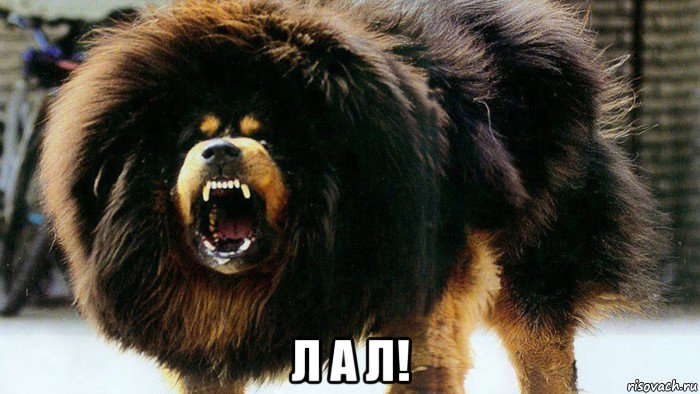  л а л!