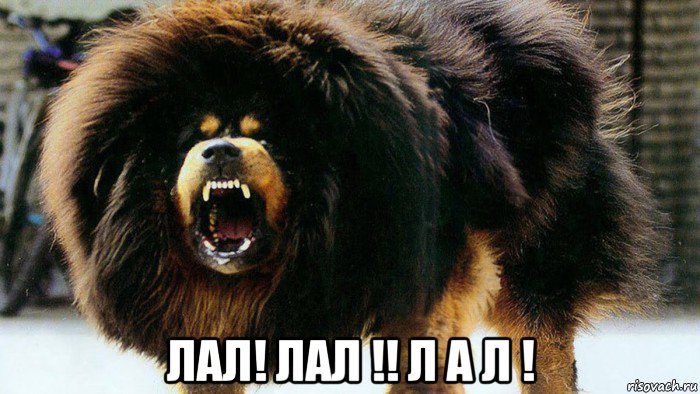  лал! лал !! л а л !
