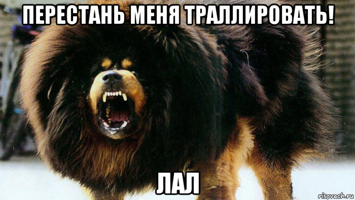 перестань меня траллировать! лал