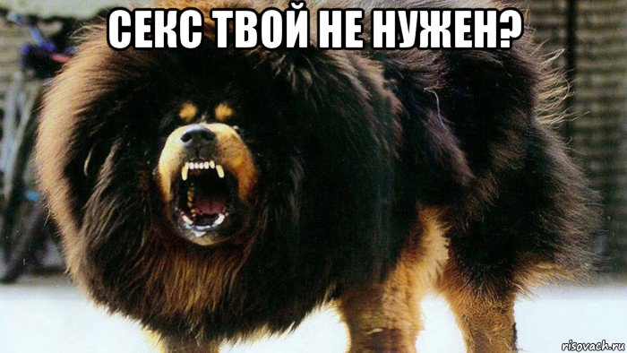 секс твой не нужен? 