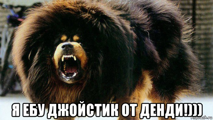  я ебу джойстик от денди!)))