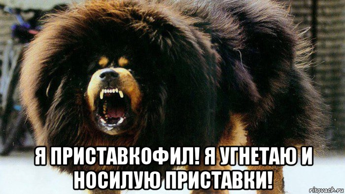  я приставкофил! я угнетаю и носилую приставки!