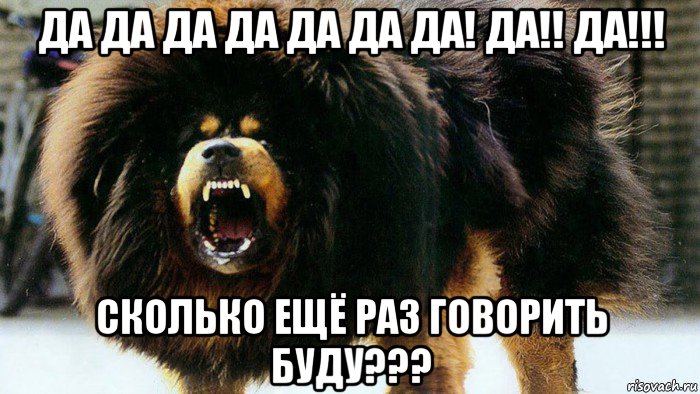 да да да да да да да! да!! да!!! сколько ещё раз говорить буду???