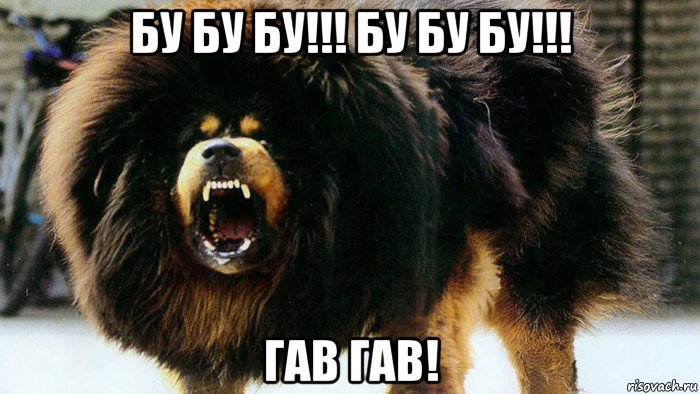 бу бу бу!!! бу бу бу!!! гав гав!